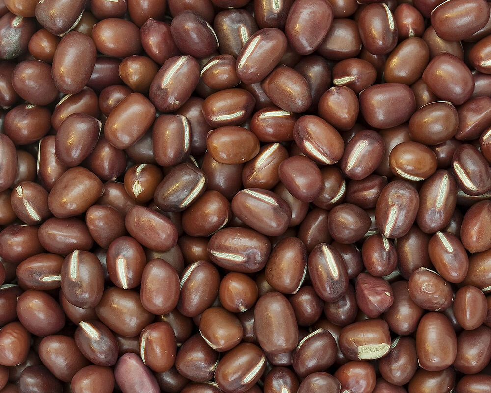 Azuki beans, Vigna angularis, or red mung beans, 小豆 / 紅豆 / 赤豆