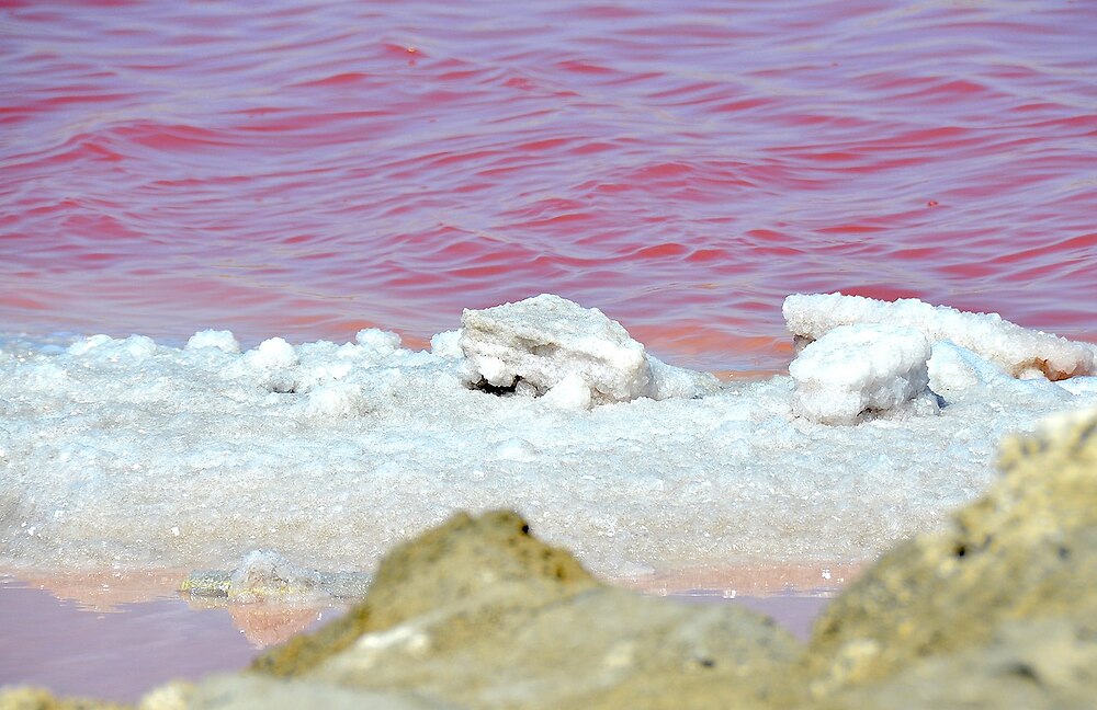 Sea salt evaporation pond at Walvis Bay, Namibia. Halophile organisms impart a red colour