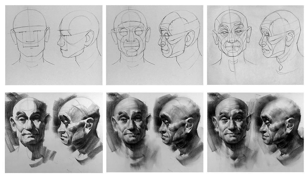 Reilly rhythms of the face, from How to Draw Portraits in Charcoal