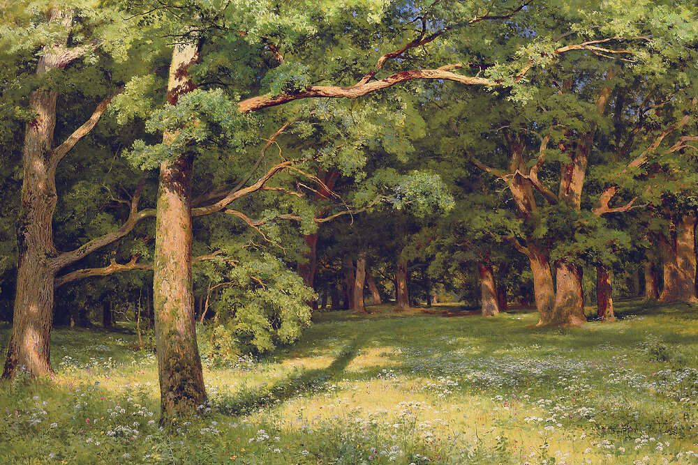 The Forest Clearing, 1896, oil on canvas (119×171cm)