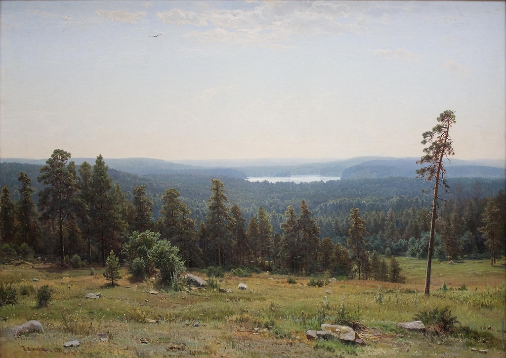 Forest distant view (Лесные дали, 1884), oil on canvas, 113×164 cm