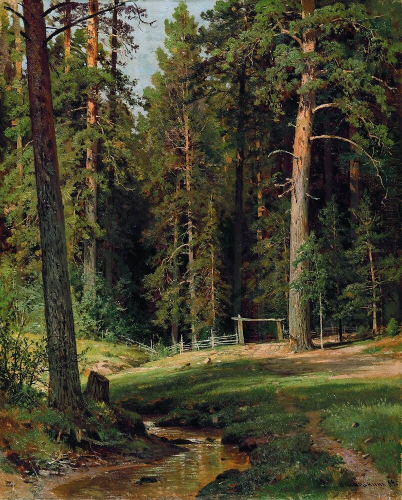Ship grove (Опушка леса, 1884), oil on canvas, 71×57cm