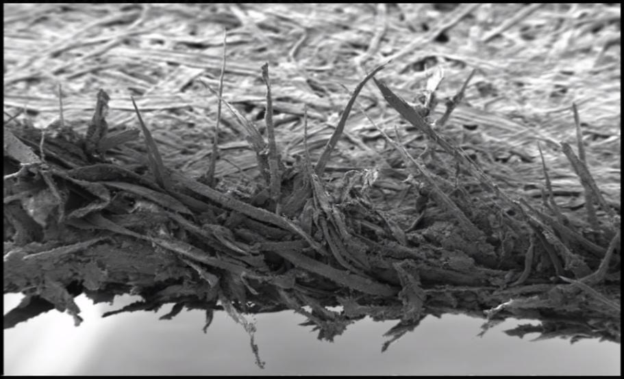 Electron microscope view of the edge of a sheet of paper
