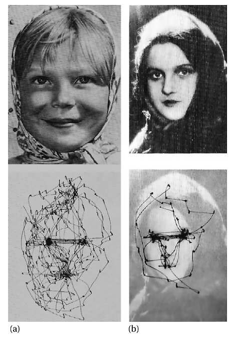 Cyclic fixation behaviour while viewing faces. (a) “Girl from the Volga”, viewed with no instructions for 3 min. (b) a girl’s face viewed with no instruction for 1 min. From Yarbus Eye Movements and Vision, 1967, figures 114 and 115, reproduced in Yarbus, eye movements, and vision, dx.doi.org/10.1068/i0382 (pdf), Tatler & al